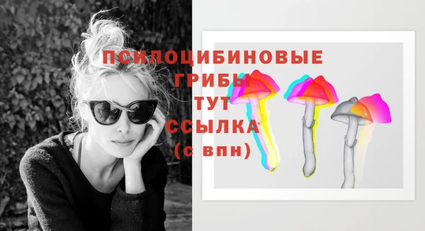 экстази Арсеньев