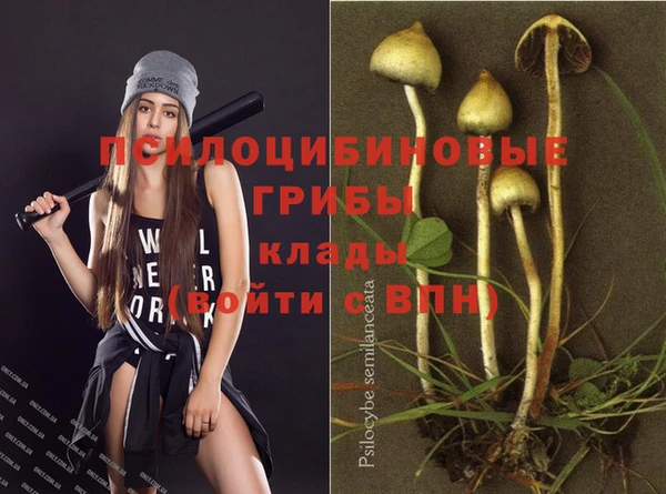 экстази Арсеньев