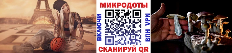 Псилоцибиновые грибы GOLDEN TEACHER магазин наркотиков KRAKEN как войти Хвалынск